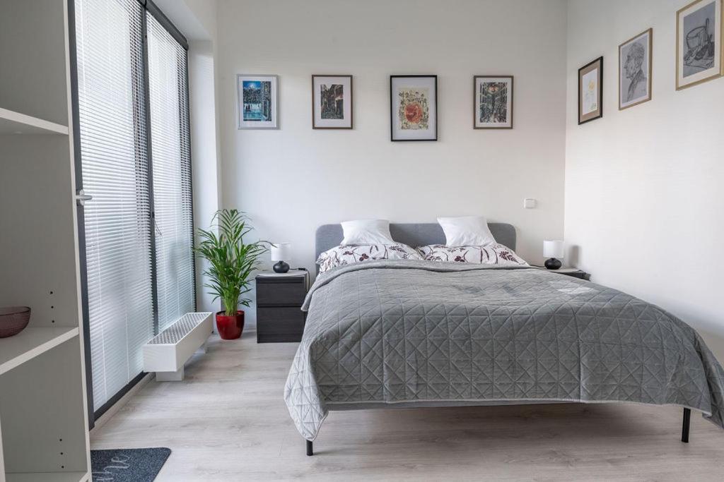 Nove Sady Olomouc Apartman Kültér fotó